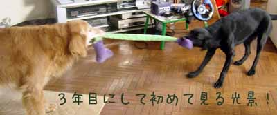 img20050330_2.jpg
