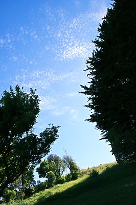 img_1706.jpg