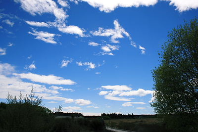 img_1489.jpg