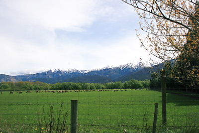 img_1467.jpg