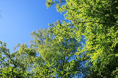 img_1708.jpg