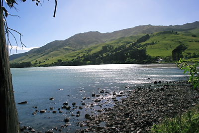 img_1558.jpg