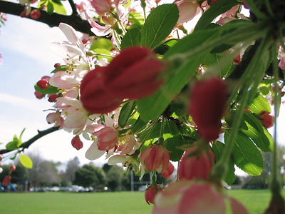 img_7312.jpg