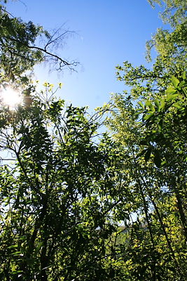 img_1709.jpg