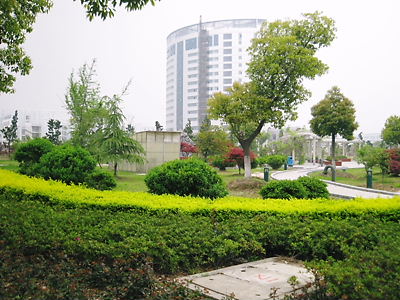 img_7802.jpg