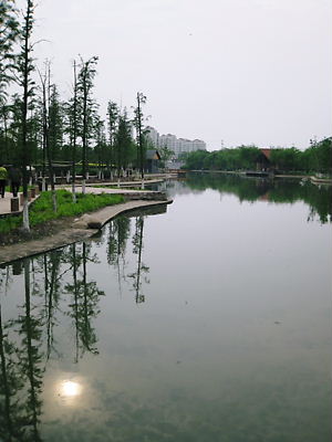 img_7875.jpg