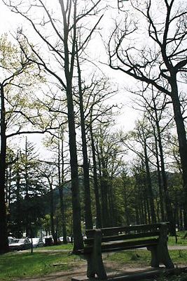 img_1457.jpg