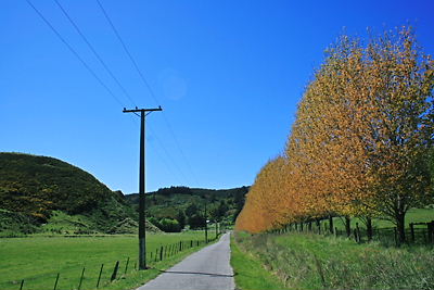 img_1585.jpg