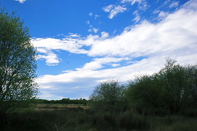 img_1490.jpg