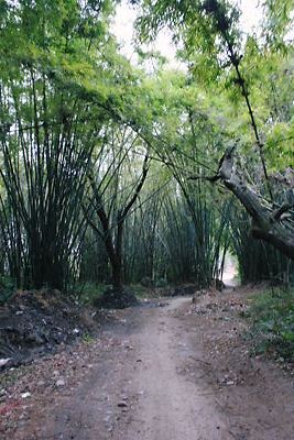 img_5699.jpg