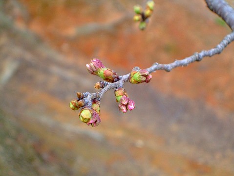 2008_03220045.jpg