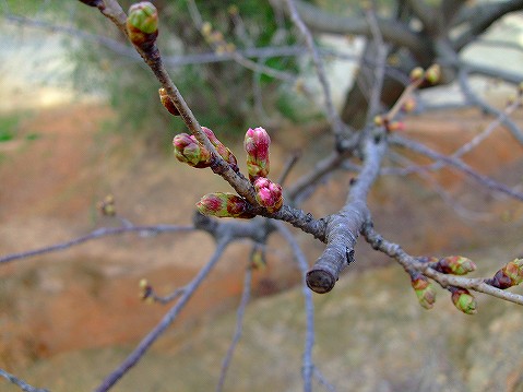 2008_03220073.jpg
