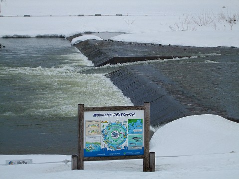 2008_03150555.jpg
