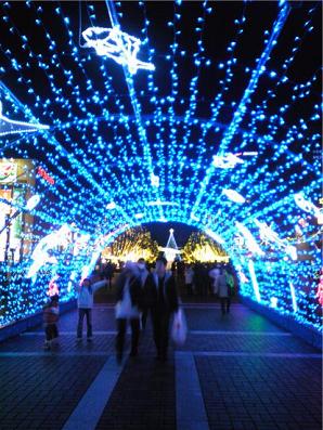 img20091227_4.jpg
