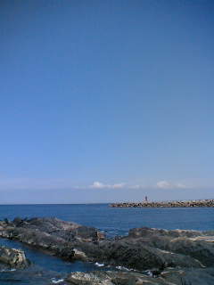 img20090820_5.jpg