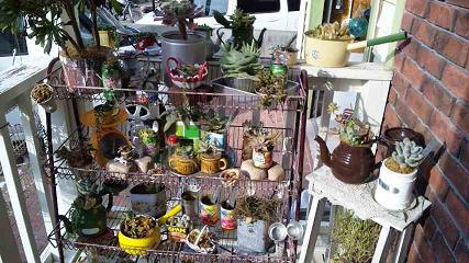 100120_1442481_1.jpg