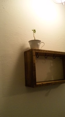 100117_1704051.jpg