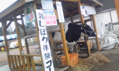img20100216.jpg