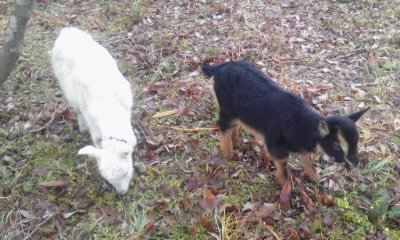 img20100216_1.jpg