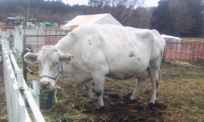 img20100216_1.jpg