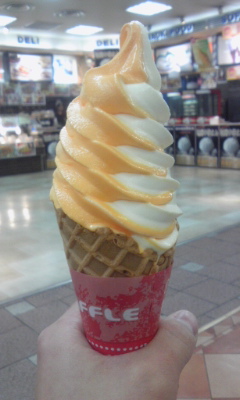 img20100214.jpg