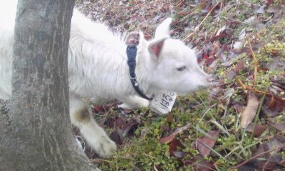 img20100216.jpg