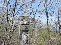 02042903.jpg