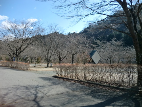 CIMG3231