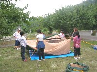 70707krc5.jpg