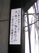 050423_1227%7E01.jpg
