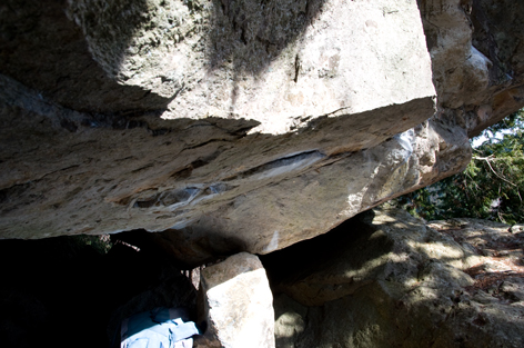 dsc_0642.jpg
