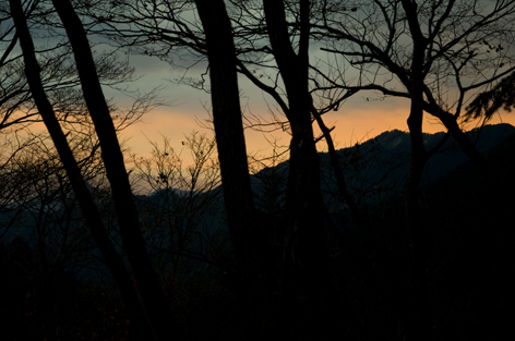dsc_0649.jpg