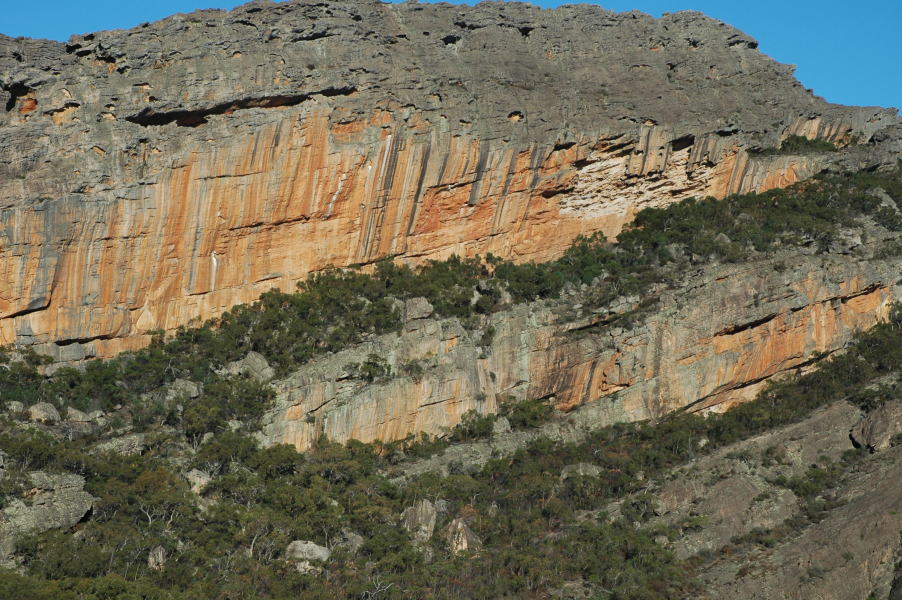 dsc_0047s.jpg