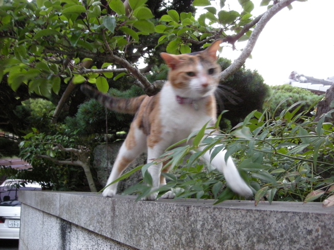 dscn0428.jpg
