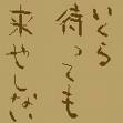 img20091105.jpg