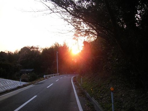 平成２4年１月21日撮影 021