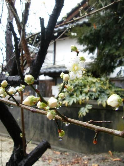 平成24年2月23日 039