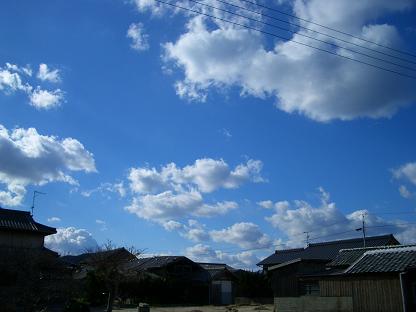 img20080115_4.jpg