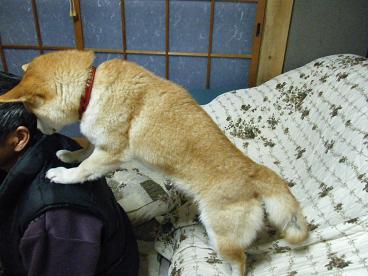 img20100216_5.jpg
