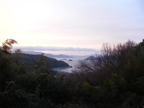 平成２4年１月21日撮影 022