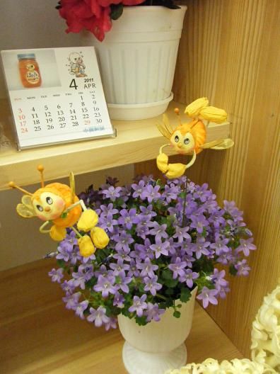 4月18日撮影 042