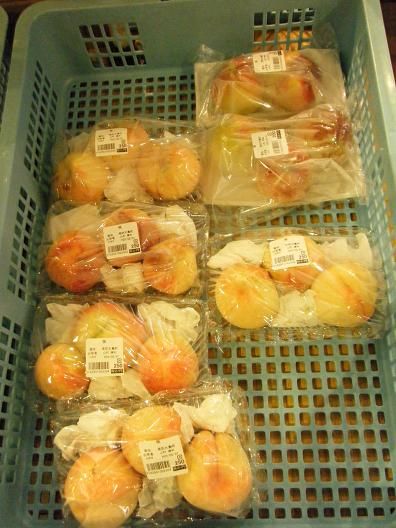 平成25年8月1日撮影。 006