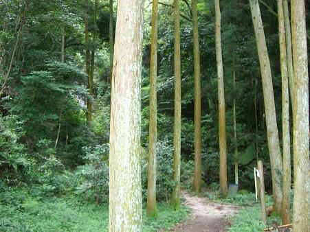 img20090421_6.jpg