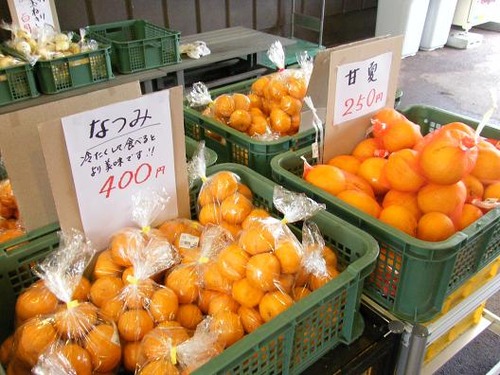 島の恵みフェスタ 007