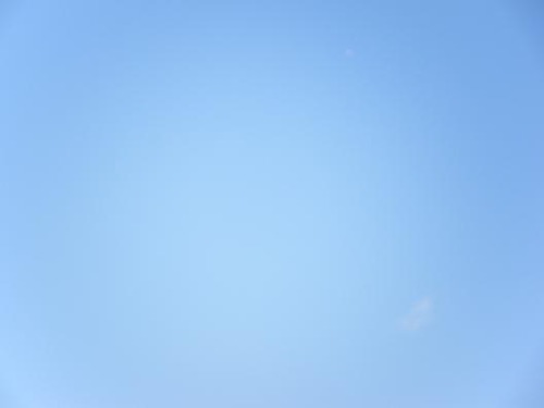 平成24年1月25日撮影 027