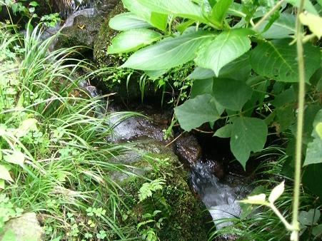 img20090421_4.jpg