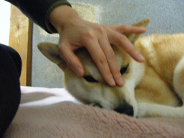 img20100216_2.jpg