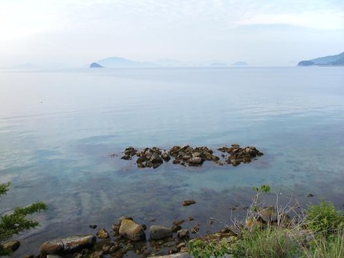 平成24年5月24日 005