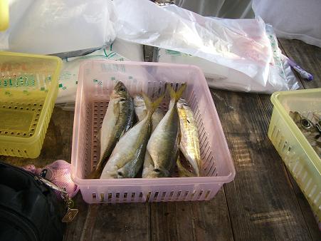 img20070821_4.jpg