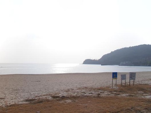 平成２4年１月14日撮影 019